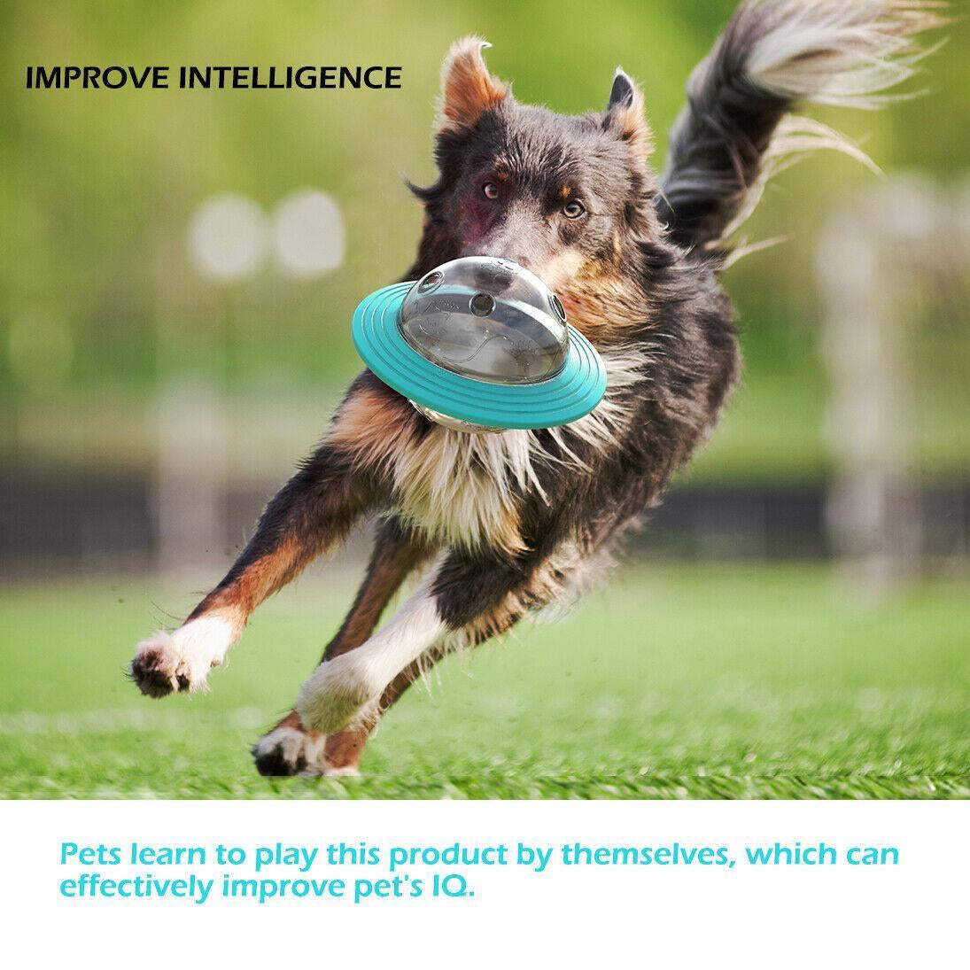 Pet Treat Dispenser Ball 