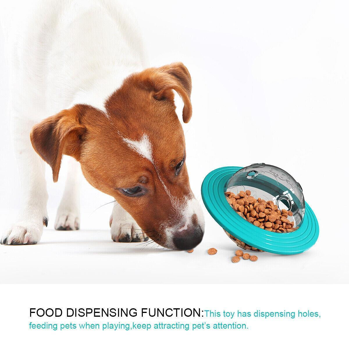 Pet Treat Dispenser Ball 