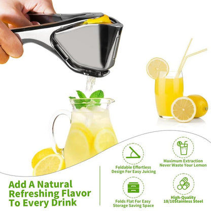 Stainless Steel Lemon Juicer 