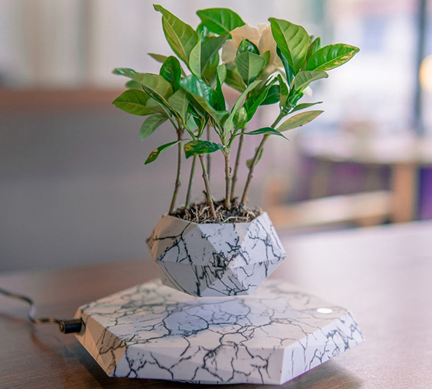 Levitating Plant Pot 