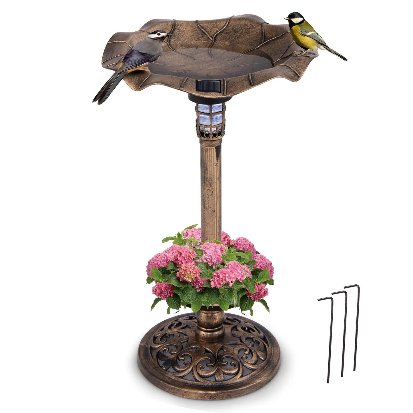 Solar-Powered Bird Bath and Feeder