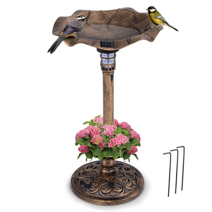 Solar-Powered Bird Bath and Feeder