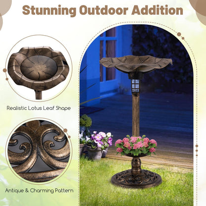 Solar-Powered Bird Bath and Feeder