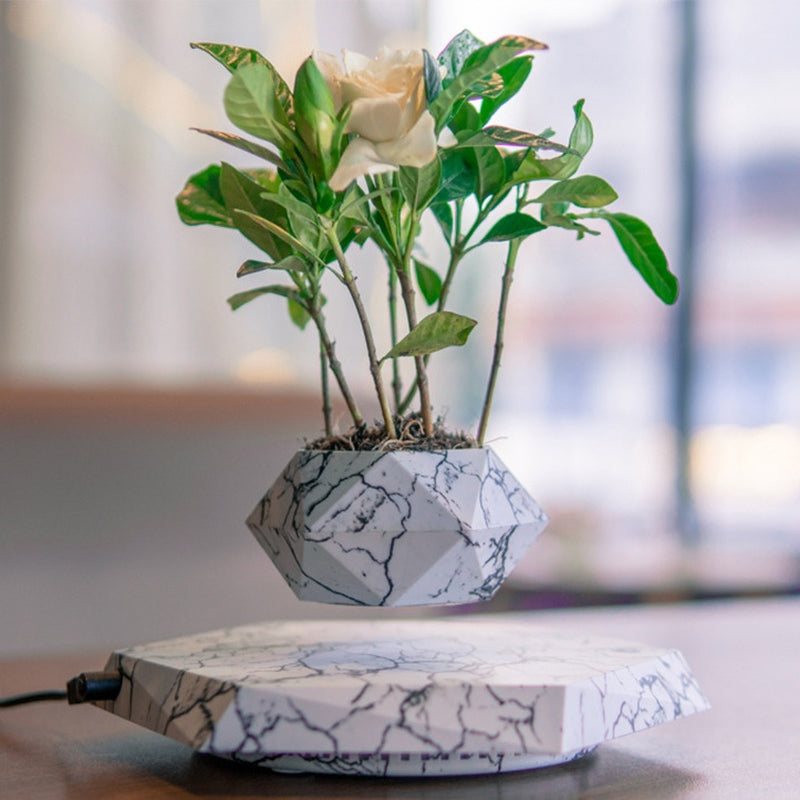 Levitating Plant Pot 