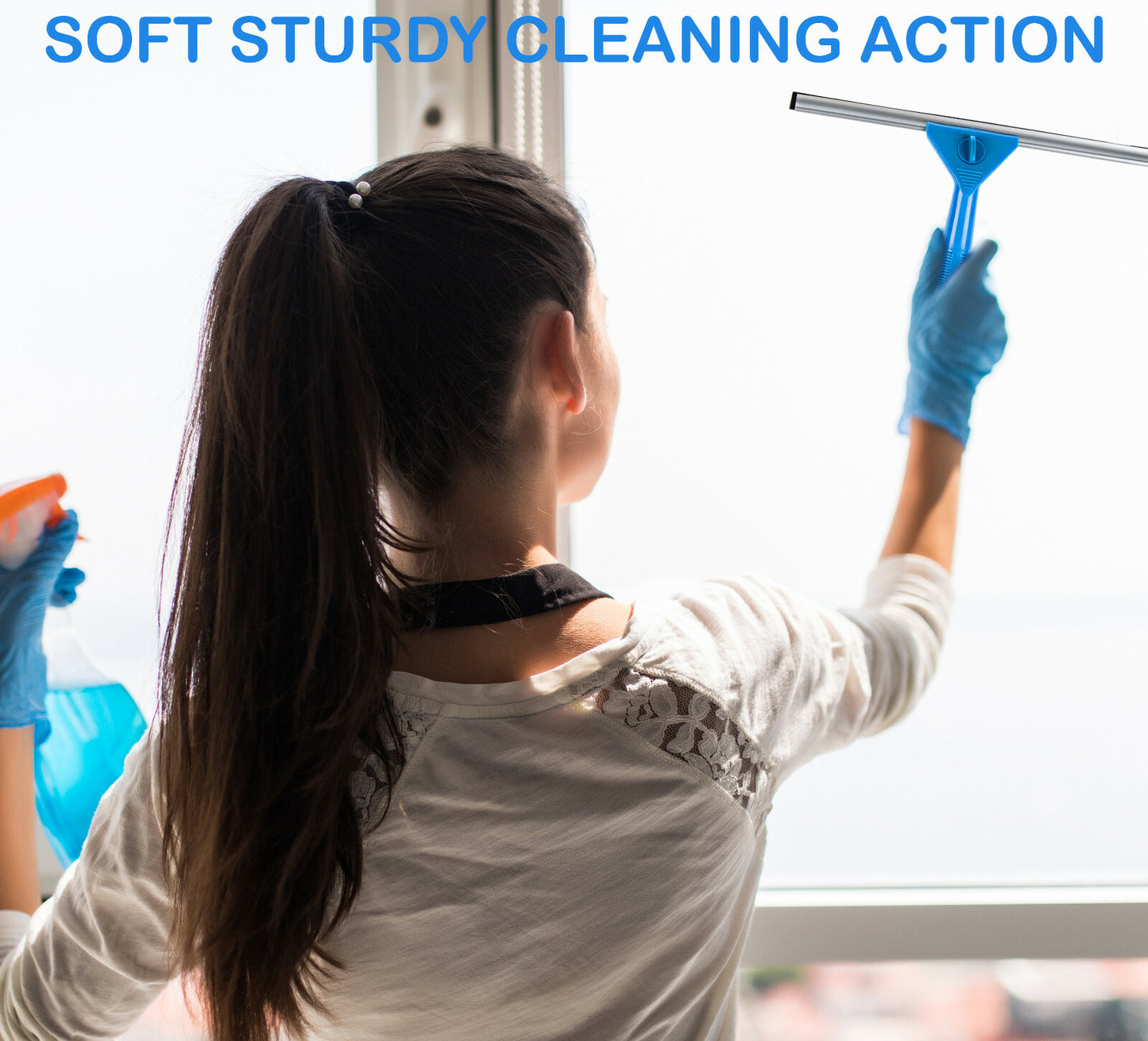 Window Cleaning Kit 