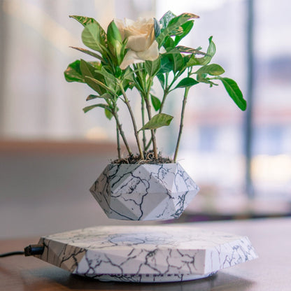 Levitating Plant Pot 