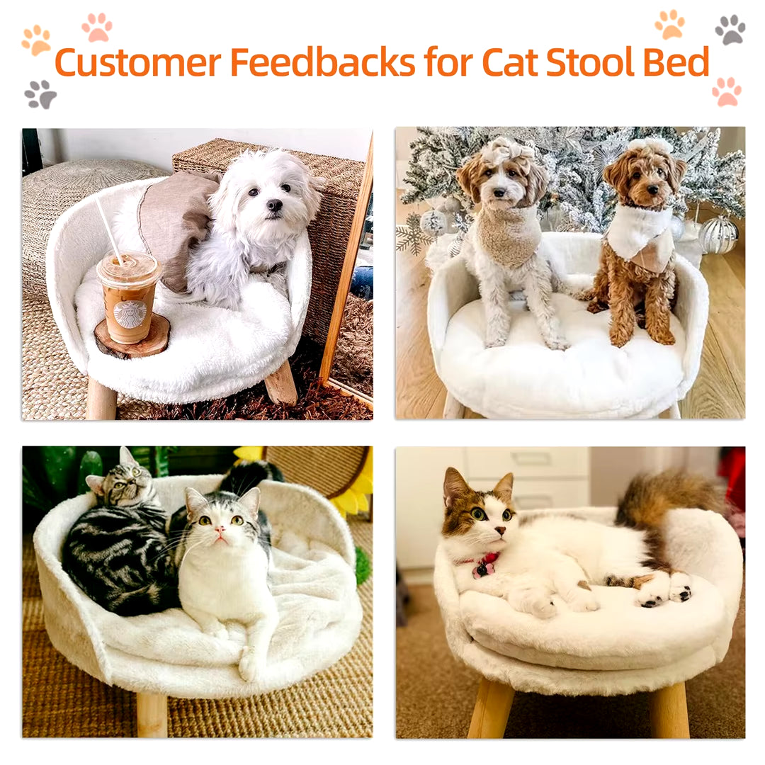 Luxury Cat Bed 