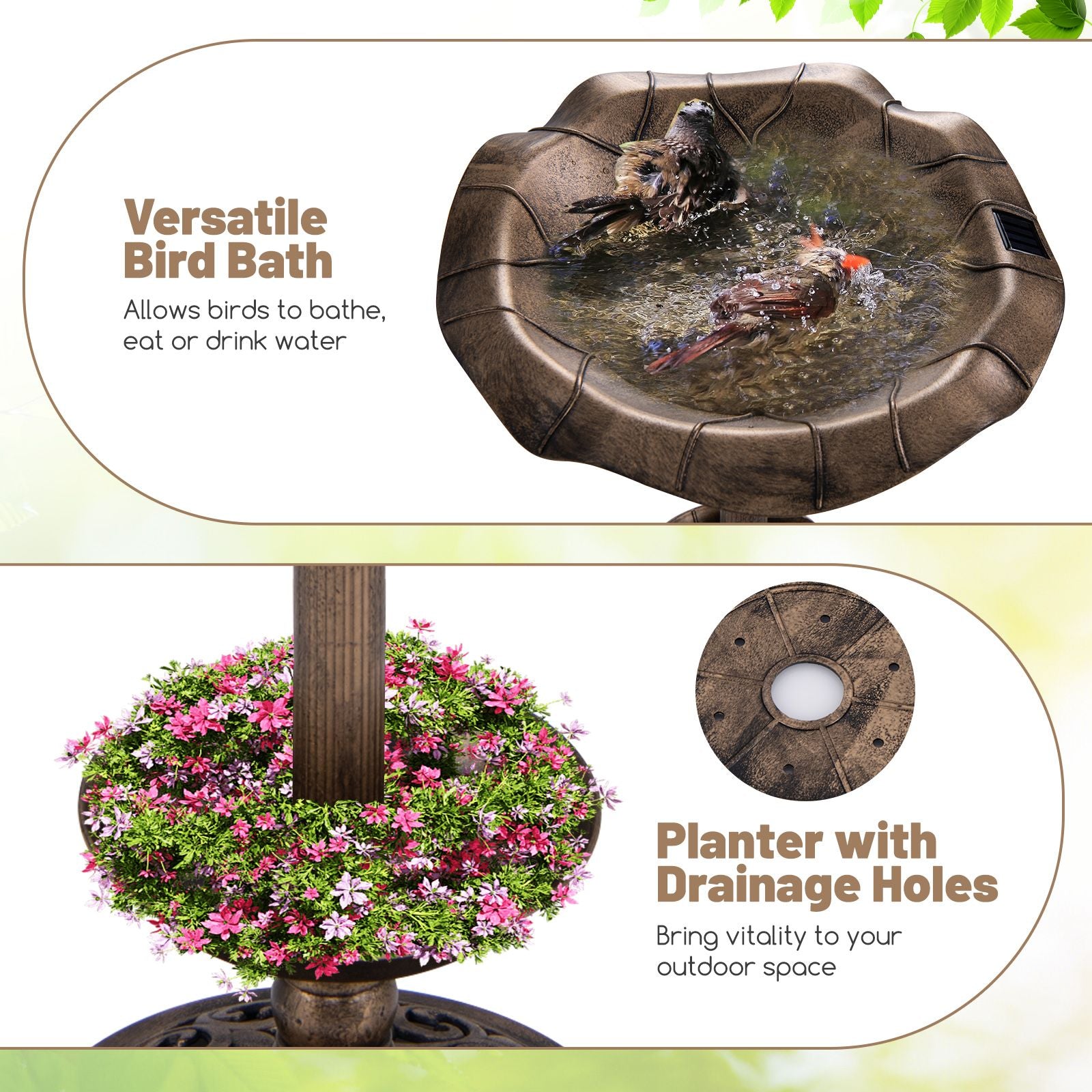 Solar-Powered Bird Bath and Feeder